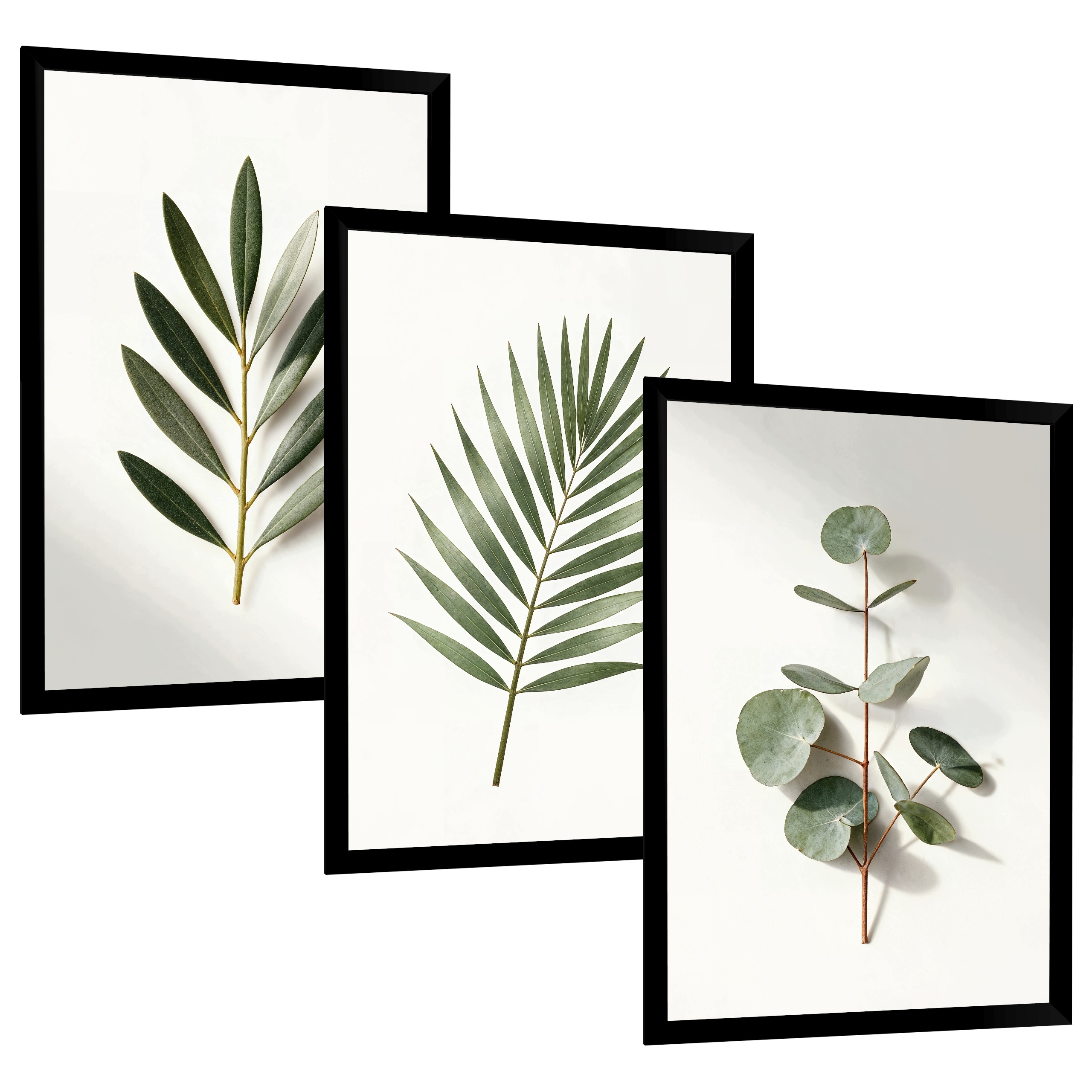 Plakaty obrazy 40x50 liście botaniczne rośliny zielone eukaliptus boho