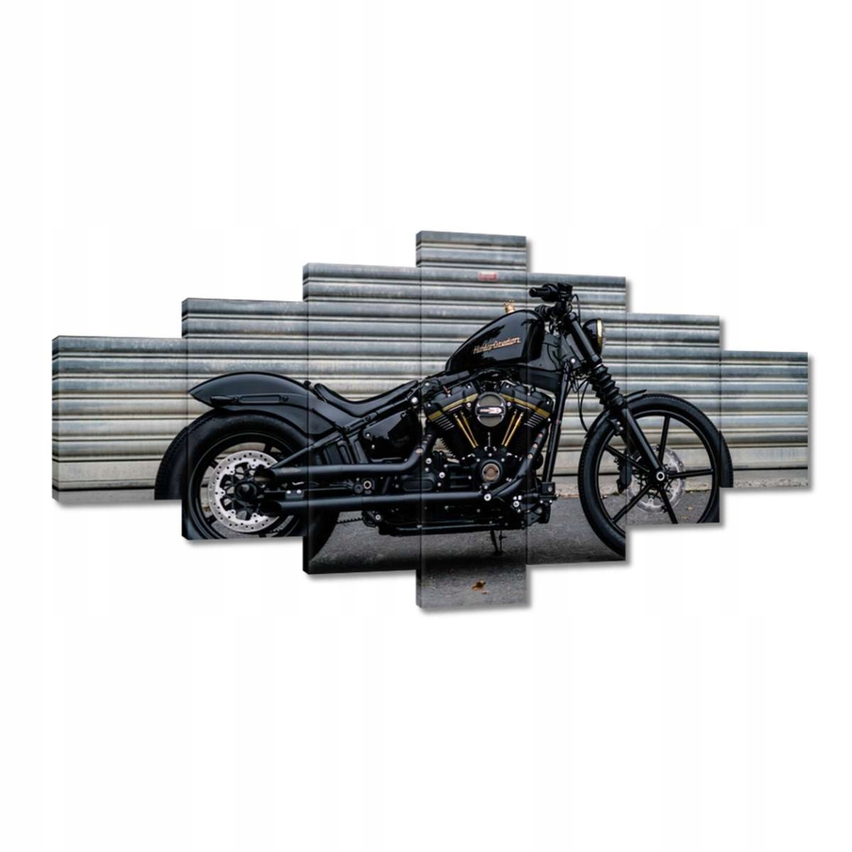 Obrazy 210x100 Harley Davidson Motocykl