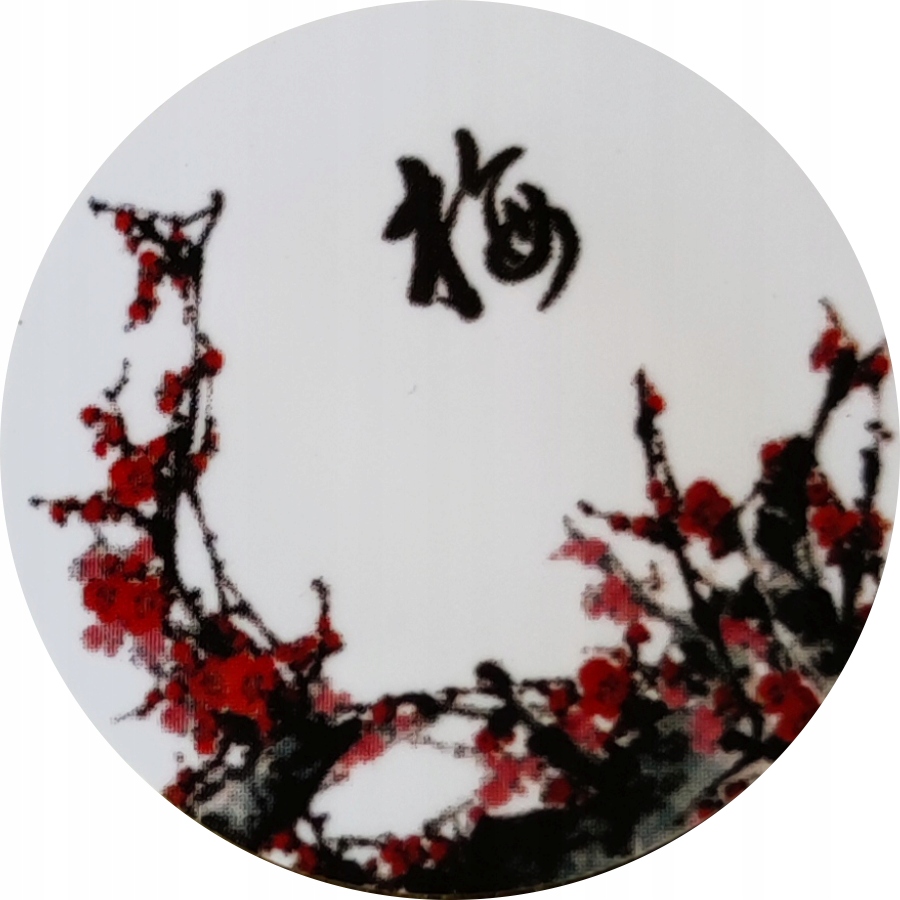 NAKLEJKA PROGRAMOWALNA KLUCZ RFID 125 kHz 30mm EM 4305 Nr 8