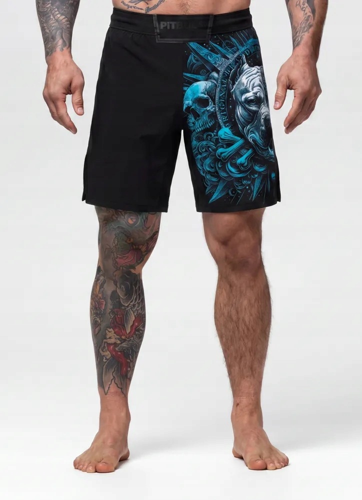 Pánské kraťasy kraťasy Pitbull kraťasy kraťasy Pitbull World