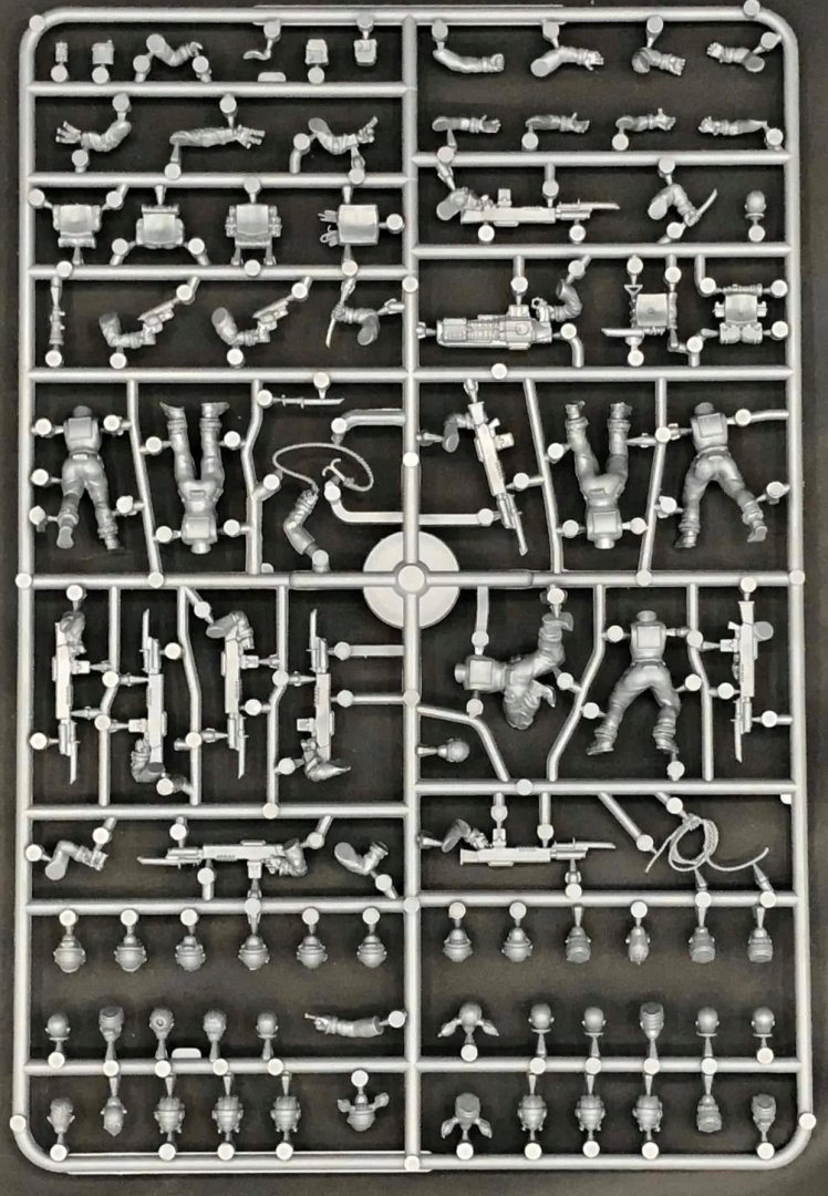Cannon Fodder 2 - females - 6 szt.