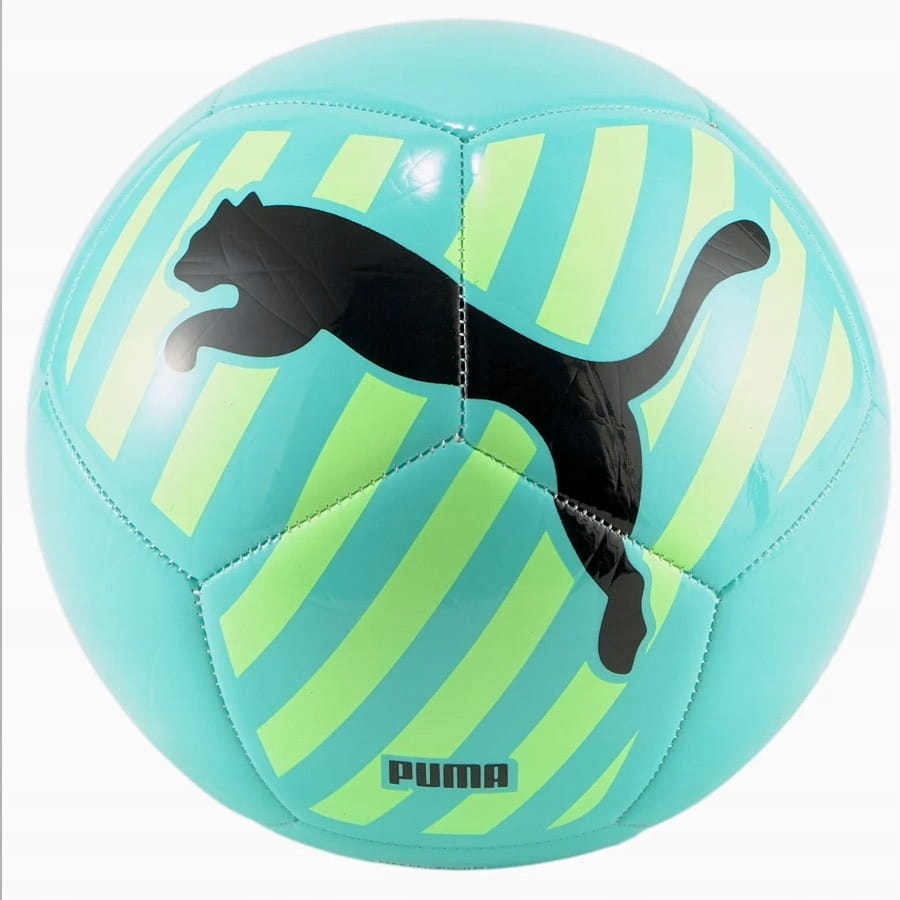

Piłka nożna Puma 083994 r. 4
