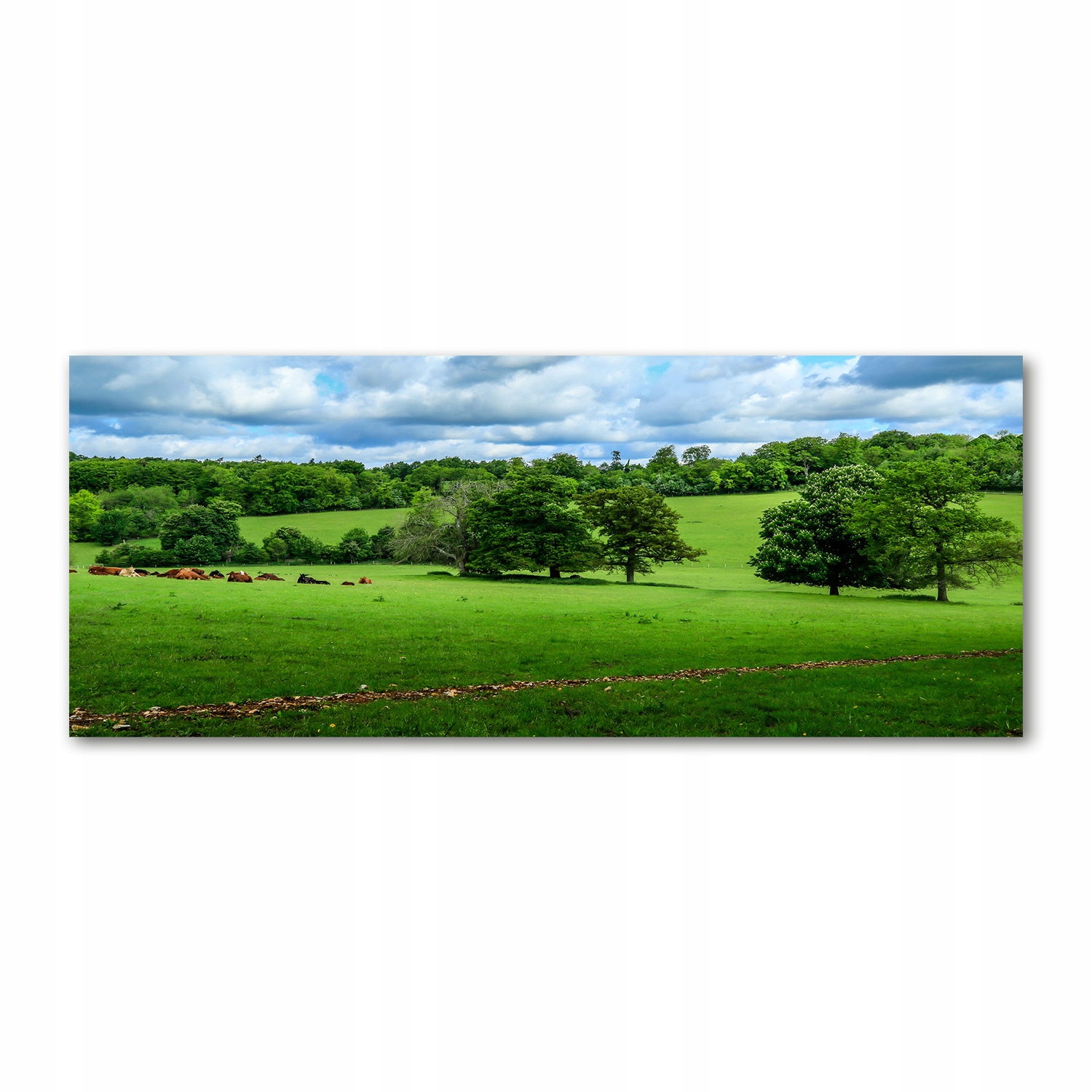 

Foto obraz akryl zdjęcie Zielone wzgórza 125x50 cm