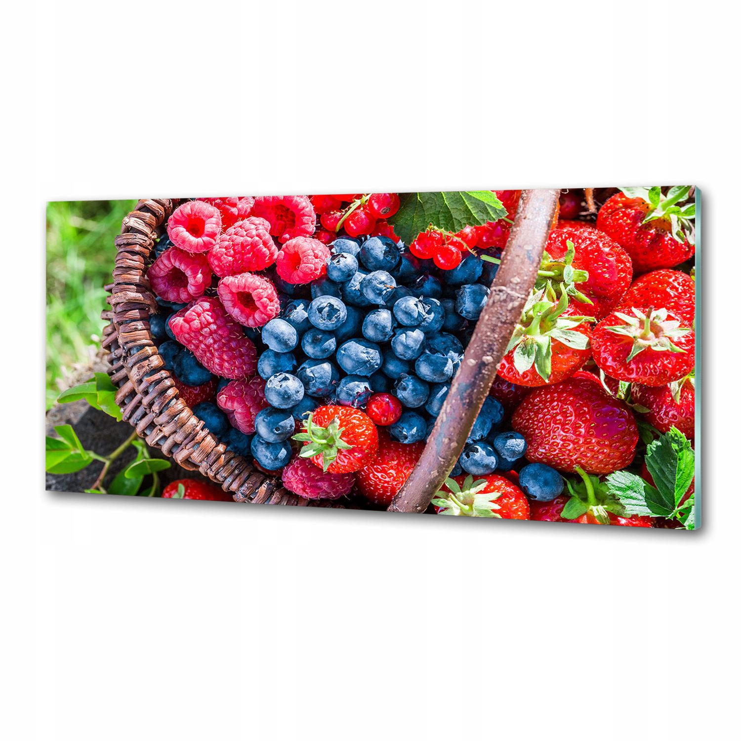 Panel lacobel Kôš na lesné ovocie 125 x 50 cm Lepidlo