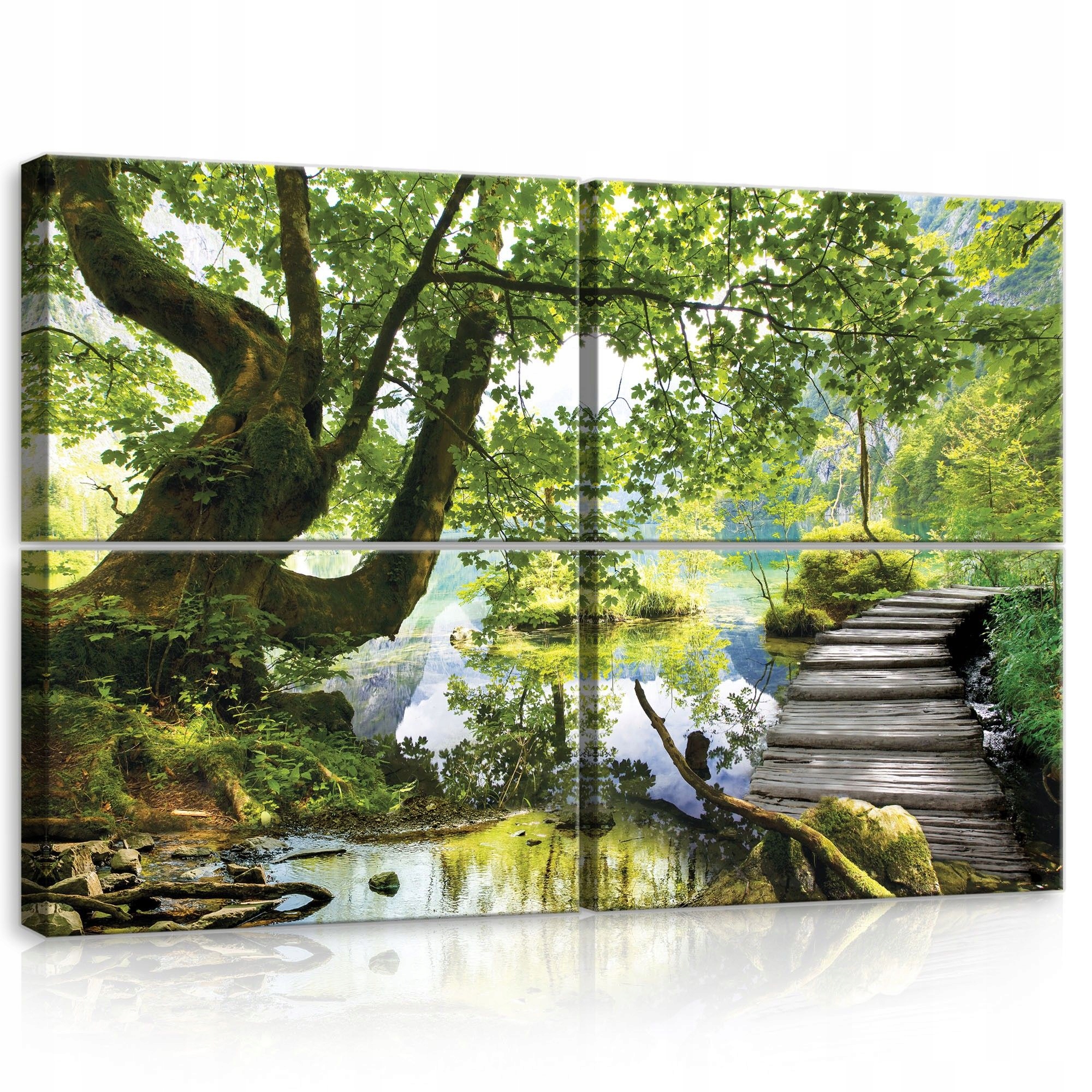 Obraz 120x80 Prírodná krajina jazero les cesta strom odraz pokoj