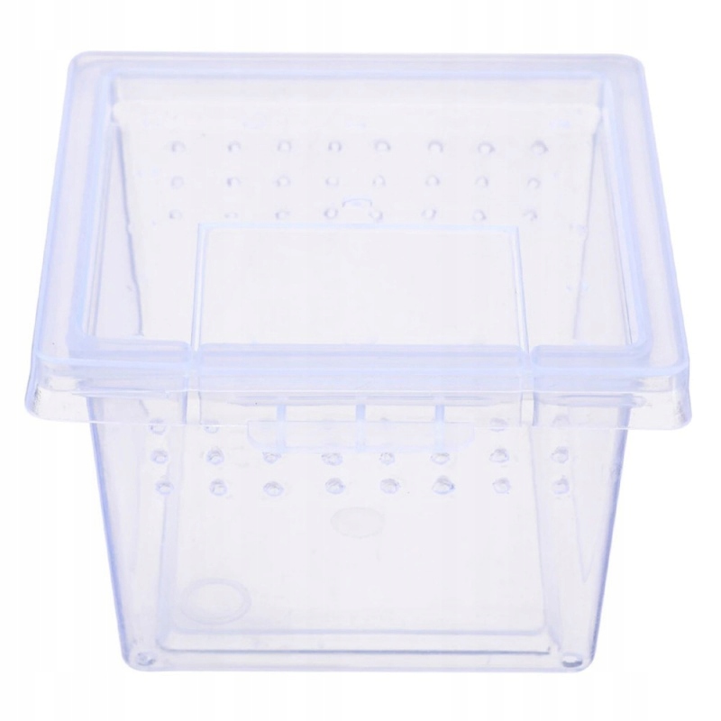 

Terrario Insect Box Mini plastikowe terrarium 6,