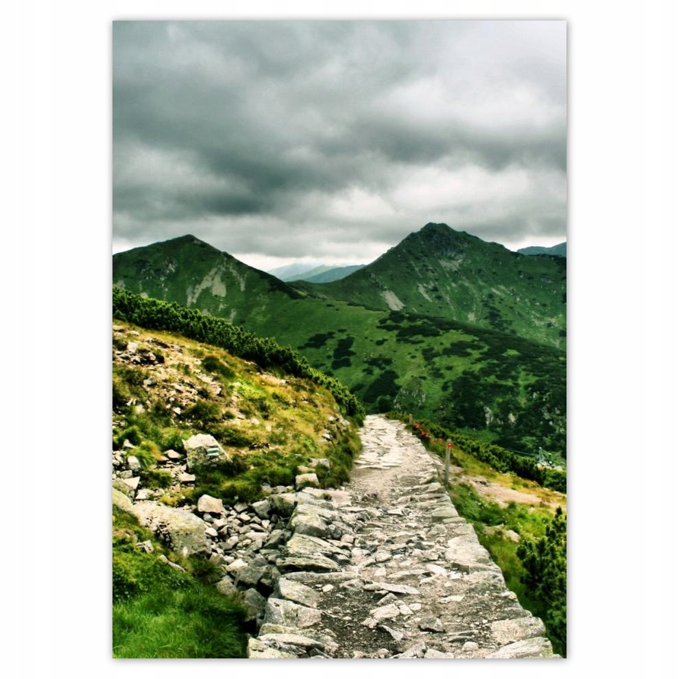 

Naklejki 50x70 Dróżka w Tatrach