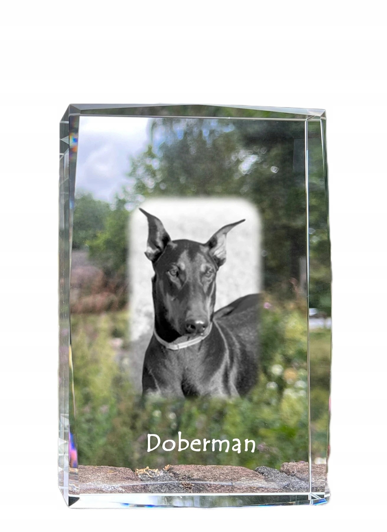 Doberman, Dobermann kryształ ze zdjęciem psa, zdjęcie w szkle, nowoczesna