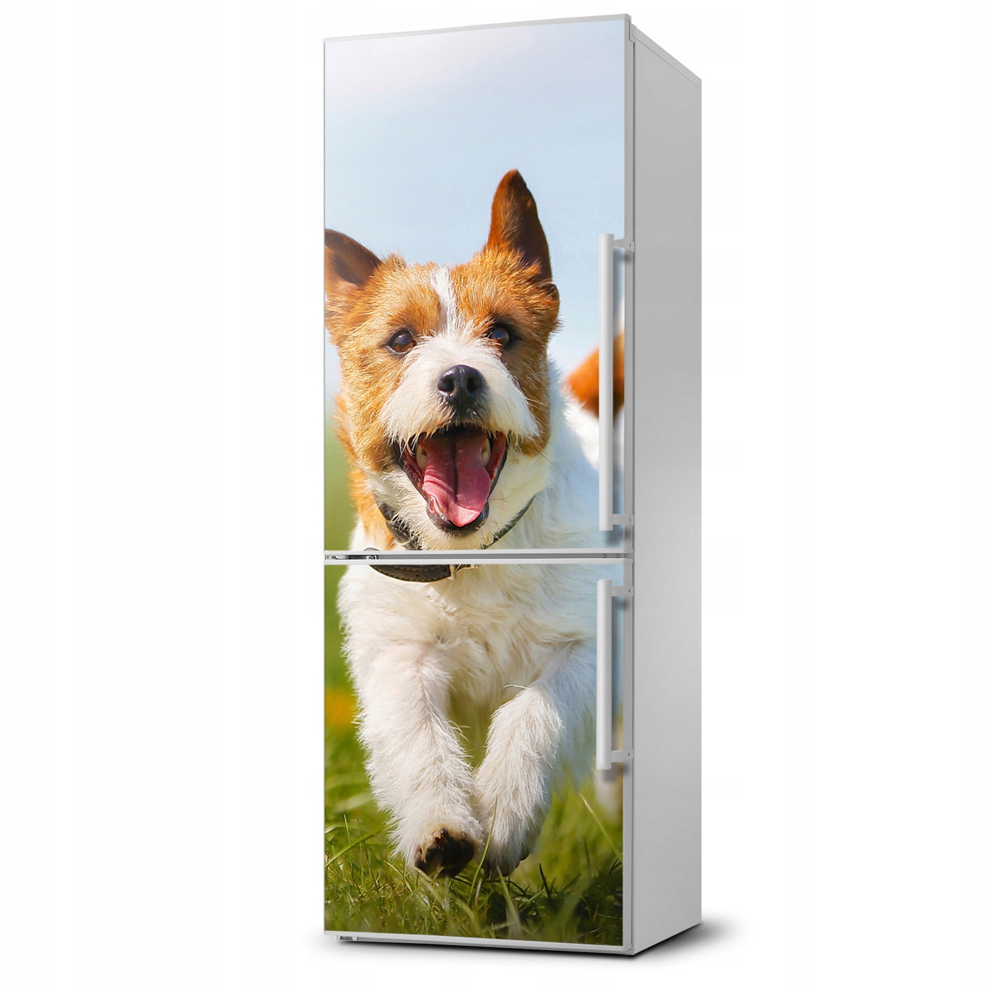 

Mata magnetyczna na lodówkę Pies Jack Russell XL