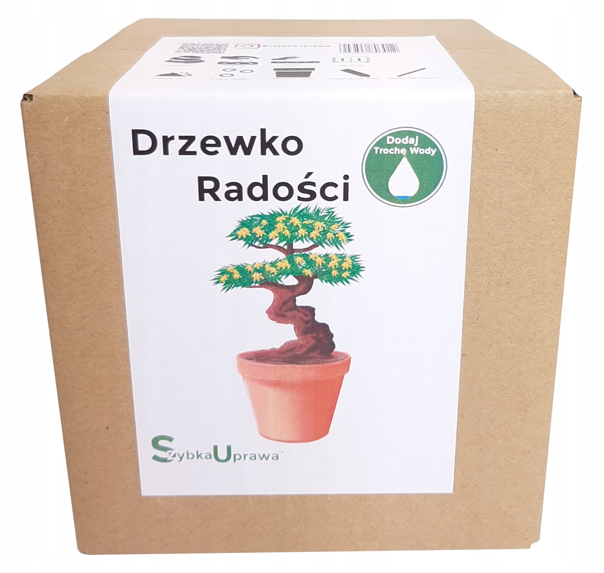 

Dla Faceta Bonsai Drzewko Radości e3