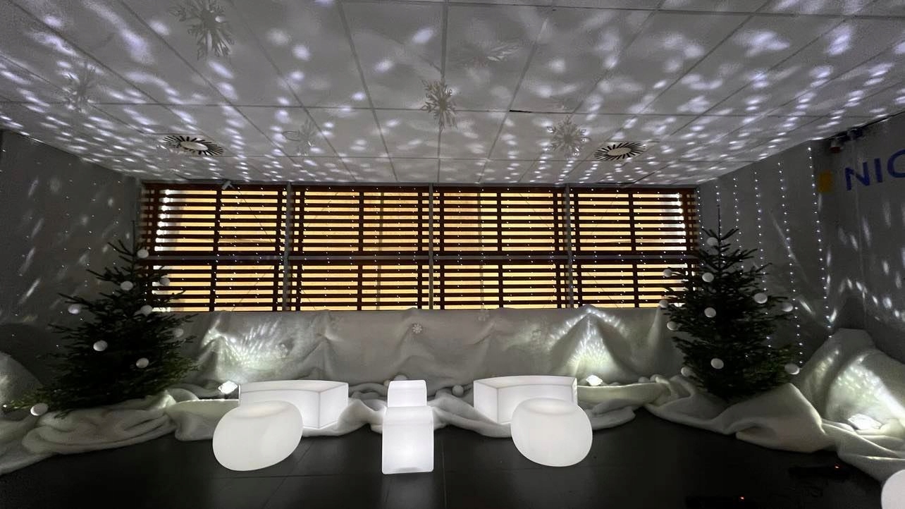 Projektor led zewnętrzny śnieg biały, iluminacja Rodzaj rzutnik