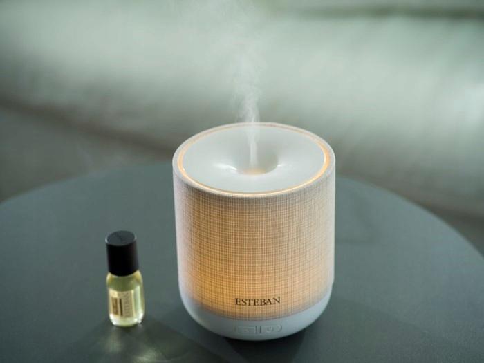 DYFUZOR MGIEŁKI ZAPACHOWEJ Easy Living Esteban Rodzaj dyfuzor ultradźwiękowy
