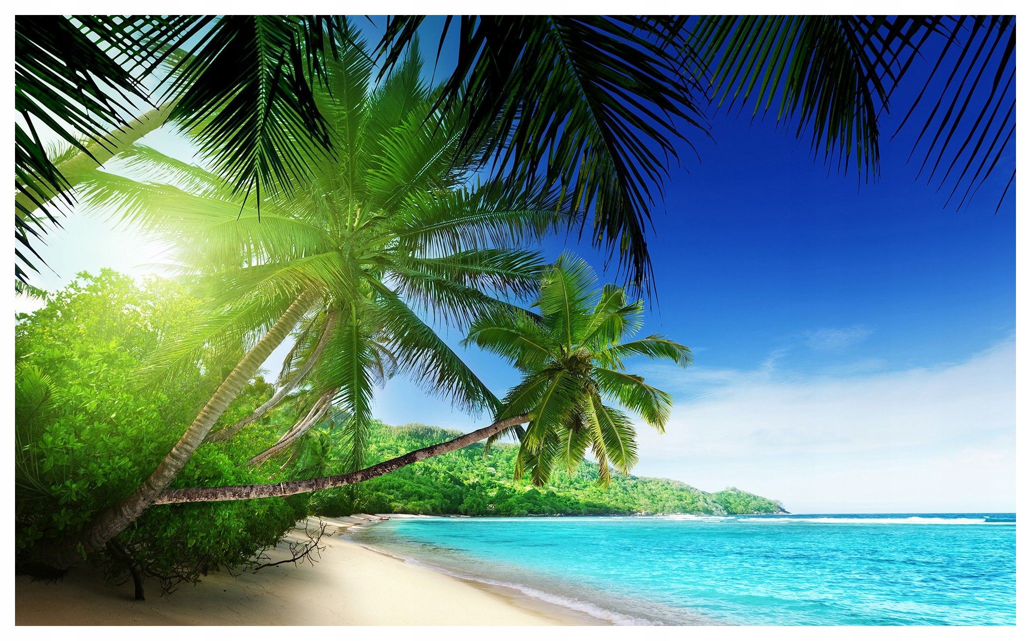 Fototapeta Pláž Palmy Oceán Relax Tropiky vinylová 208x146 lepidlo