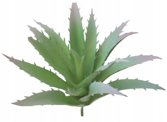 

Sukulent roślina sztuczna do terrarium R30
