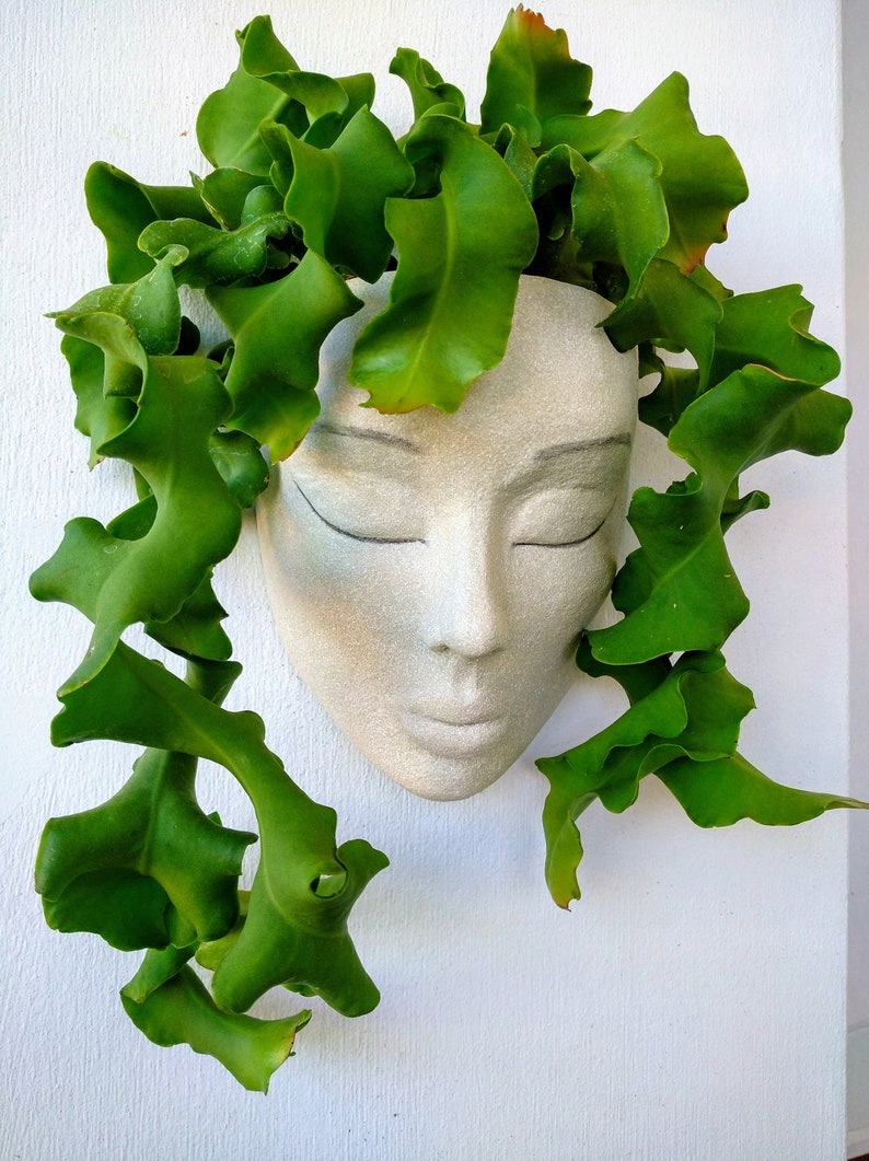 wisząca doniczka głowa kobiety Rodzaj doniczka