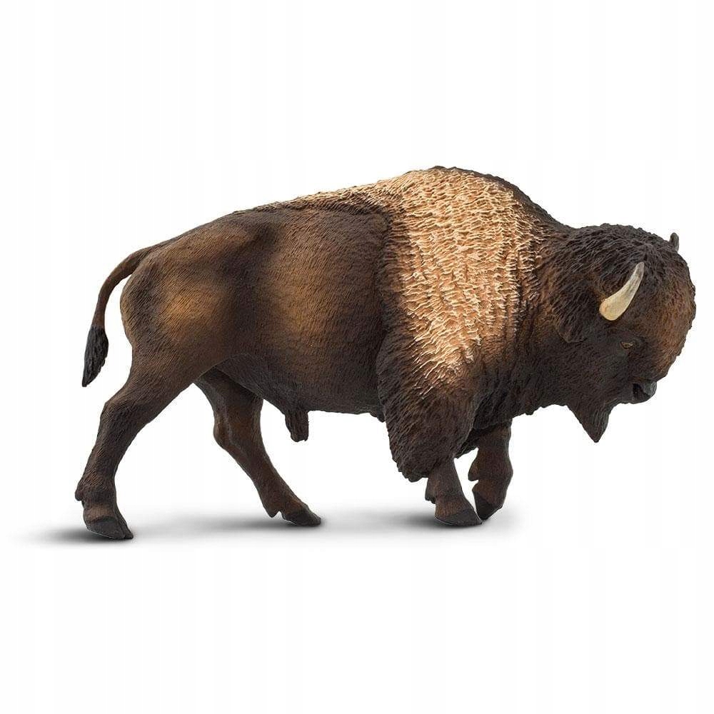 

Bizon Bison Safari Ltd. 100152