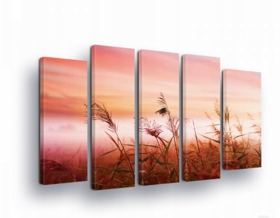 Obraz 150x100 Západ slnka lúka trávy príroda pokoj teplo leto večer