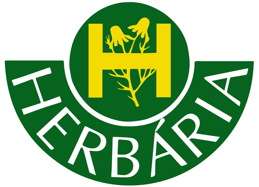 WCIERKA NA POROST WŁOSÓW + CZEPEK DO ZABIEGU zestaw - BANFI HAJSZESZ WĘGRY Opakowanie butelka