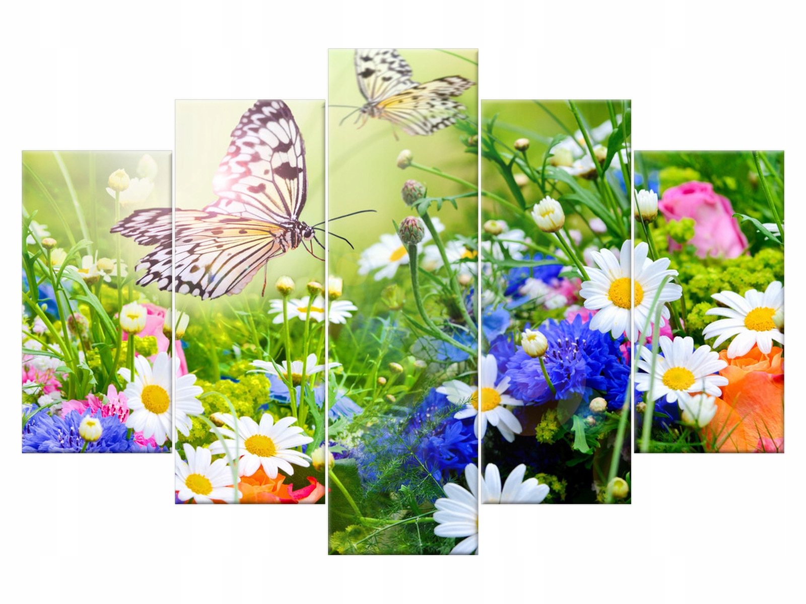 

Obraz Piękny ogród 150x100 Kwiaty 2220A_5G