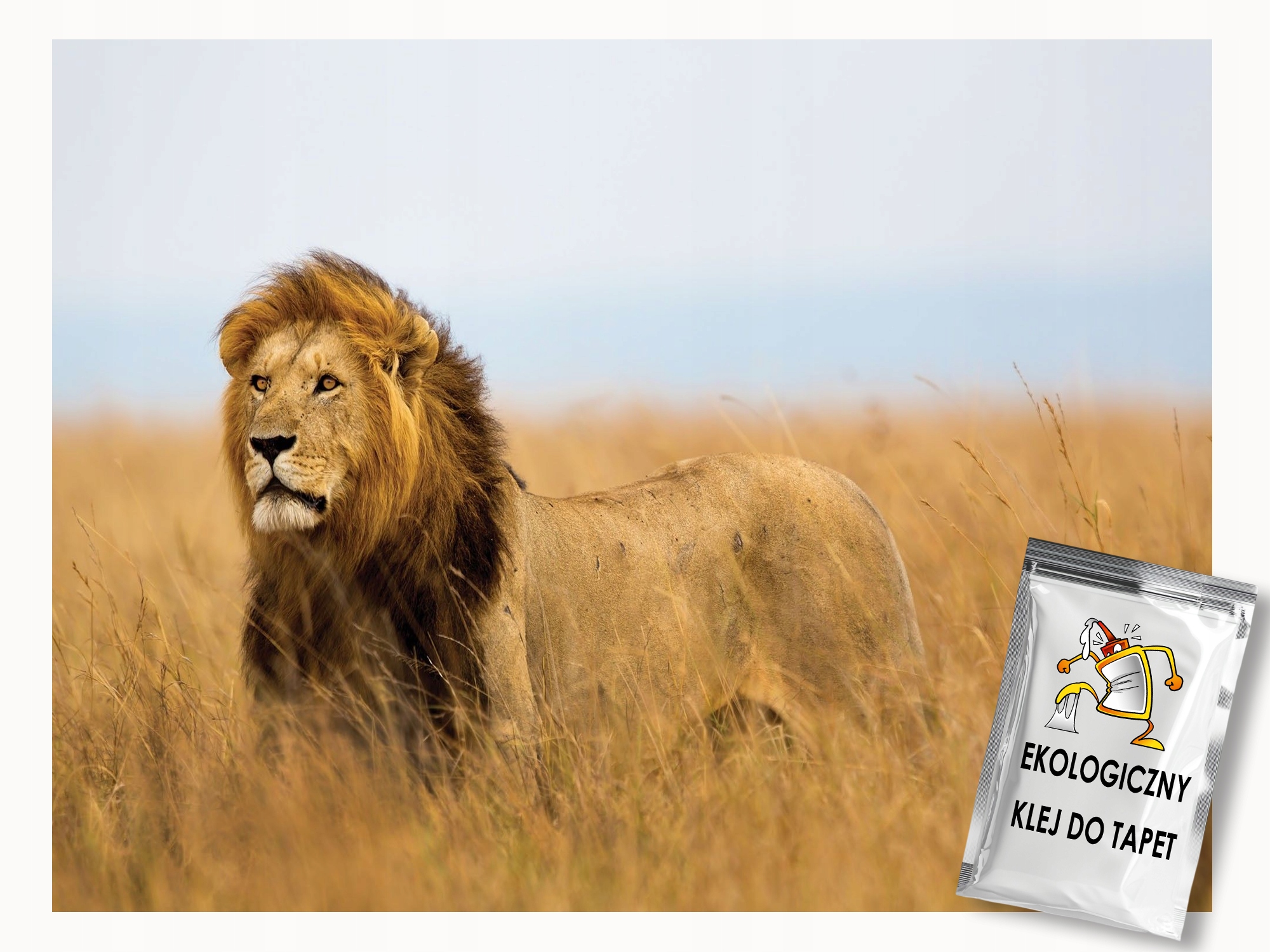 Fototapeta Flizelina Zvířata Kočky Lev Afrika Příroda 400x280 lepidlo