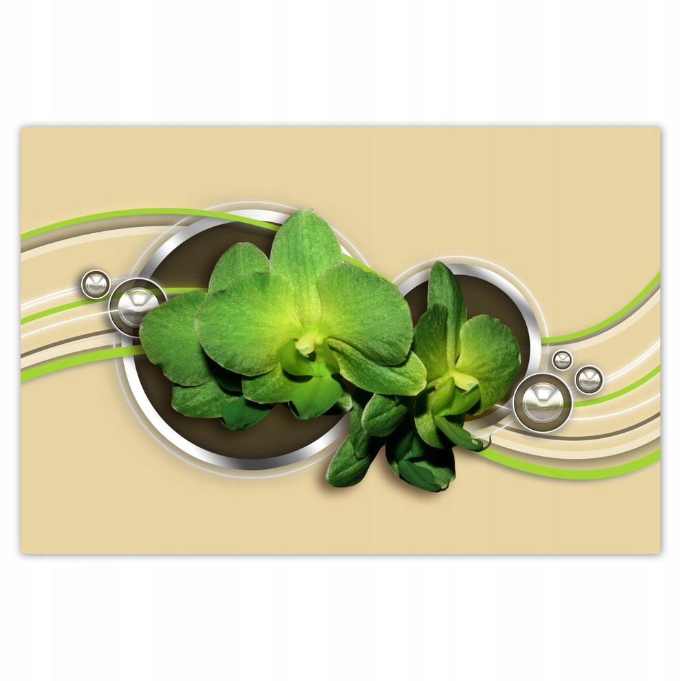 

Plakaty 60x40 Zielona orchidea