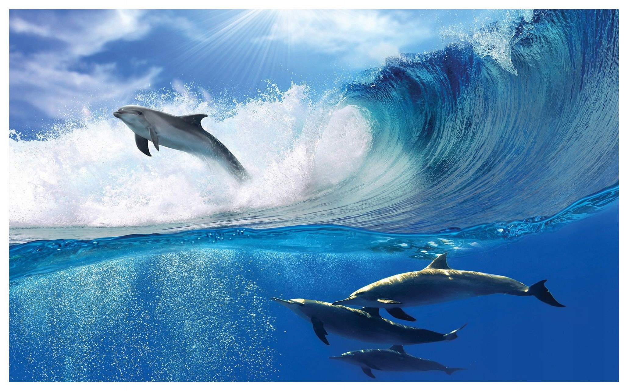 Vliesová fototapeta Delfíni v oceánu slunce a vlnách 312x219 lepidlo