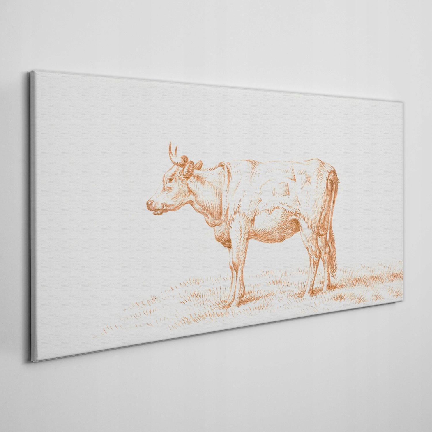 

Foto-obraz na ramie płótno Zwierzę krowa 120x60 cm