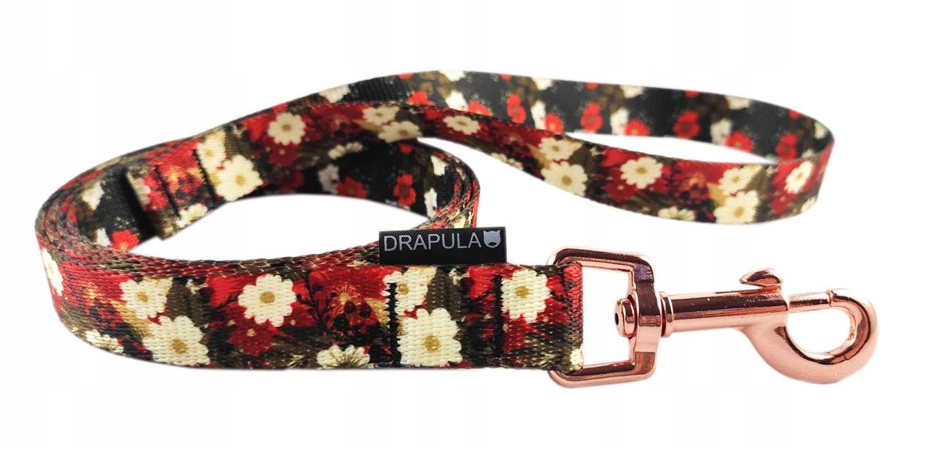

Smycz S/m dla psa drapula 130cm Flower 2cm
