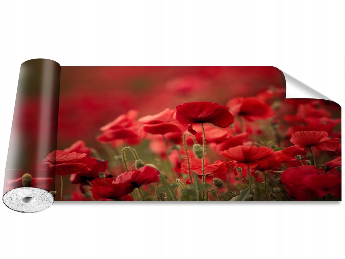 

Tapeta Samoprzylepna Kwiaty maku 250x104