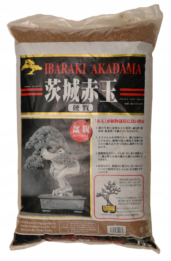 AKADAMA - ZIEMIA DO BONSAI