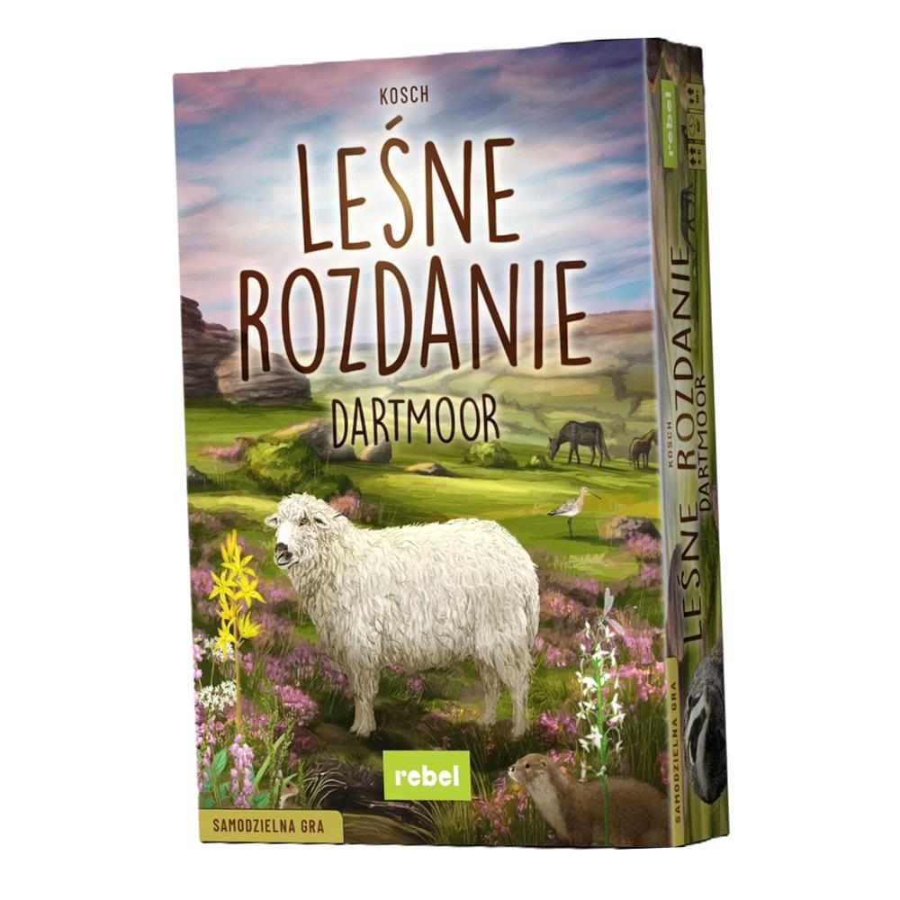 Gra Leśne Rozdanie Dartmoor