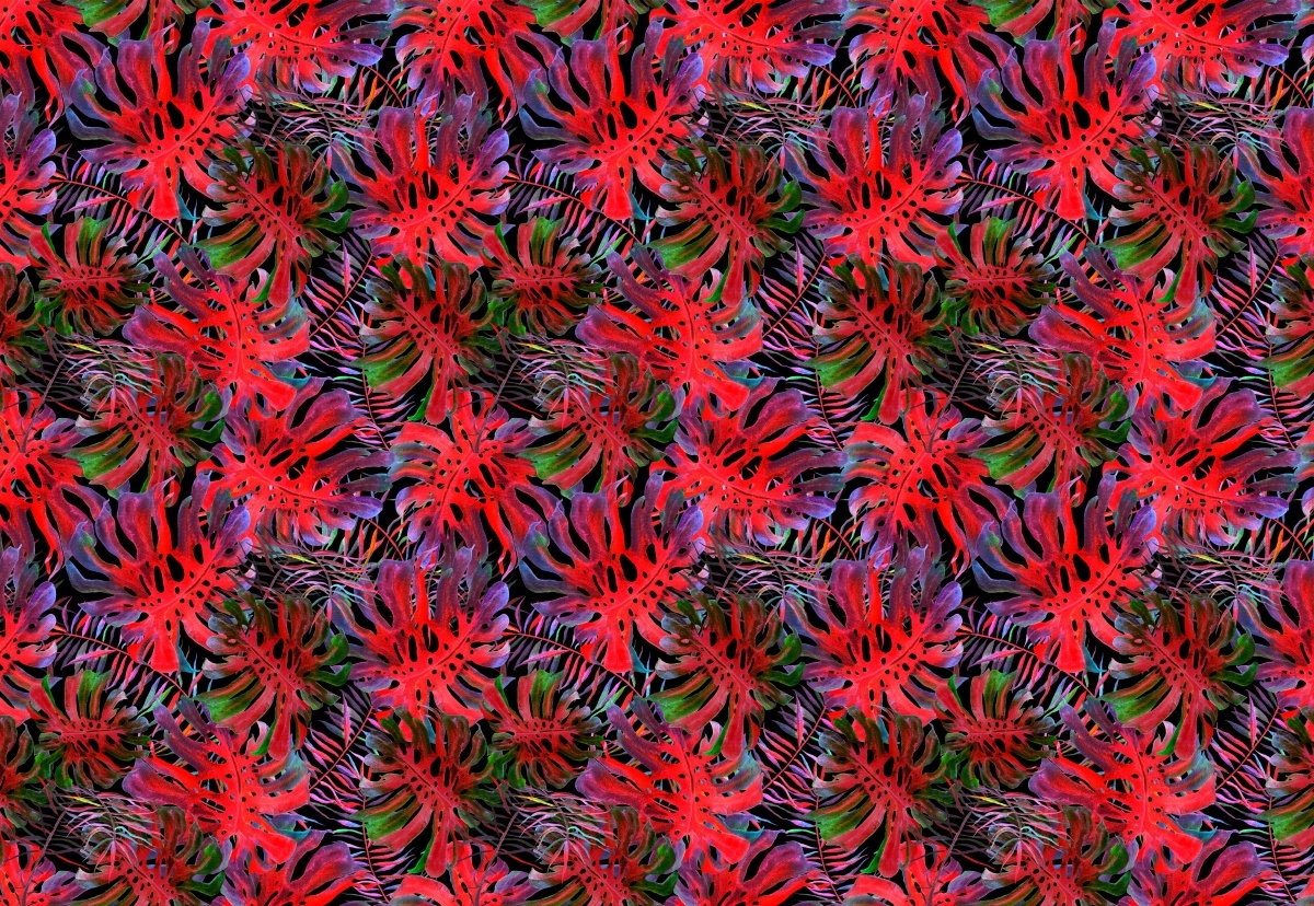 

Fototapeta Flizelinowa Monstera dziurawa 152x104