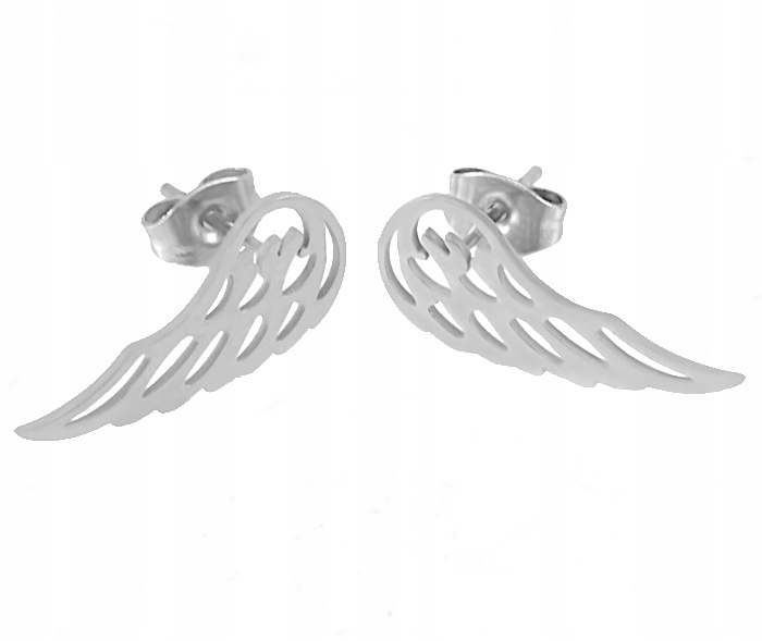 

Kolczyki Duże Srebrne Skrzydła Stal Chirurgiczna