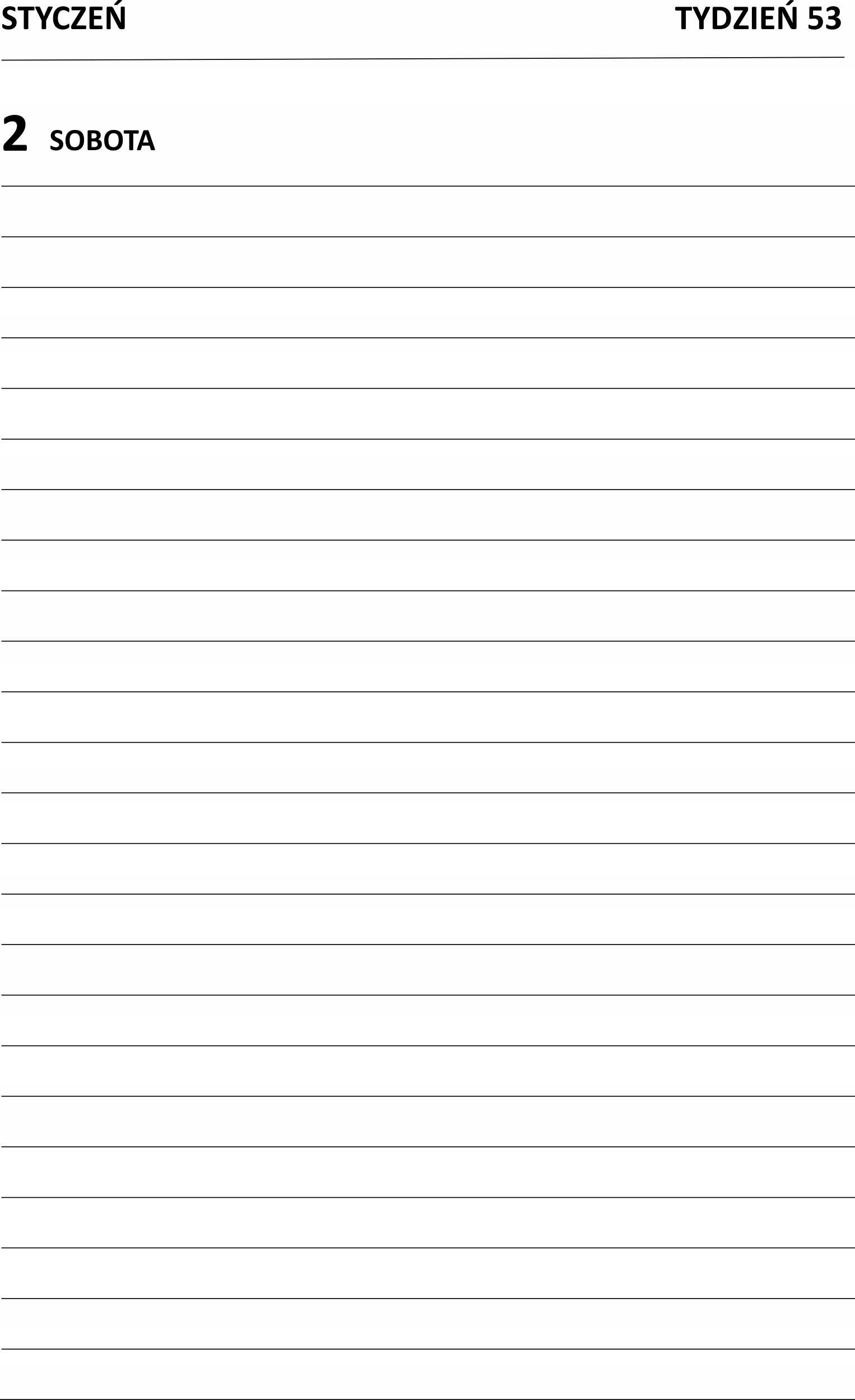 Kalendarz na 2027 rok DZIENNY TERMINARZ Format A4 Rozmiar A4