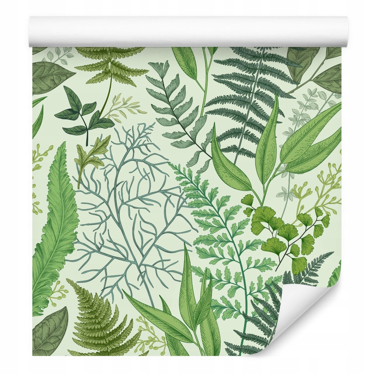 Tapeta do ložnice, rostliny, polní listy, eukalyptus