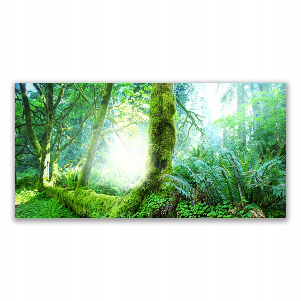 

Fotoobraz akryl z grafiką 140x70 Las Mech Natura