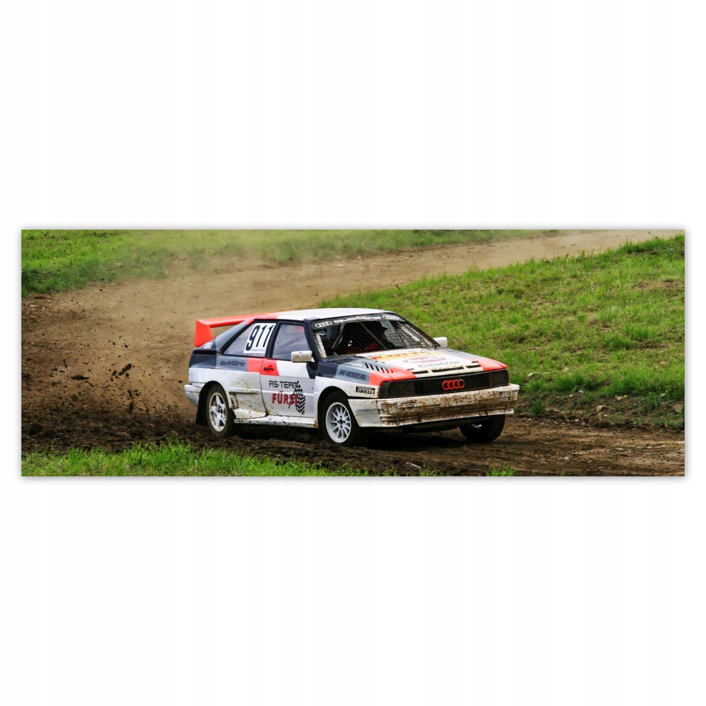 

Fototapety flizelina 250x93 Audi Quattro w terenie