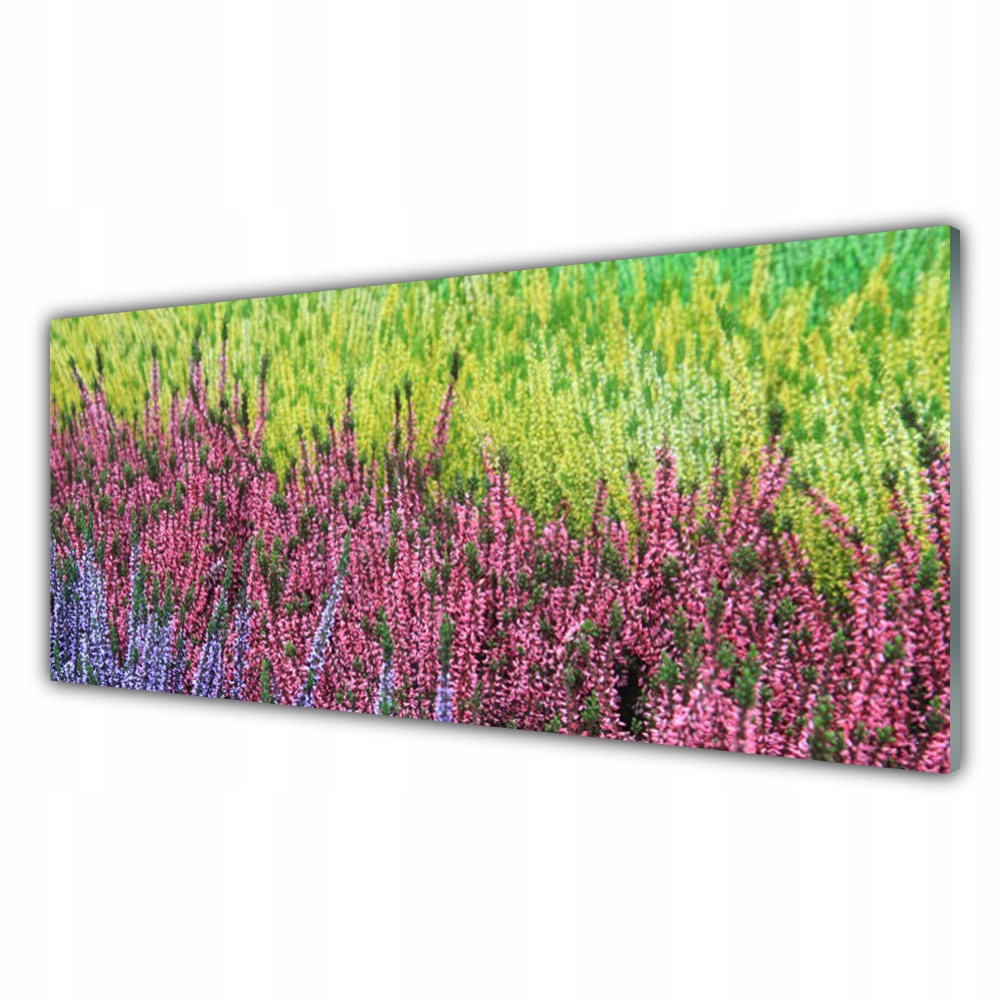 

Obraz akryl nowoczesny 125x50 Kwiat Roślina Natura