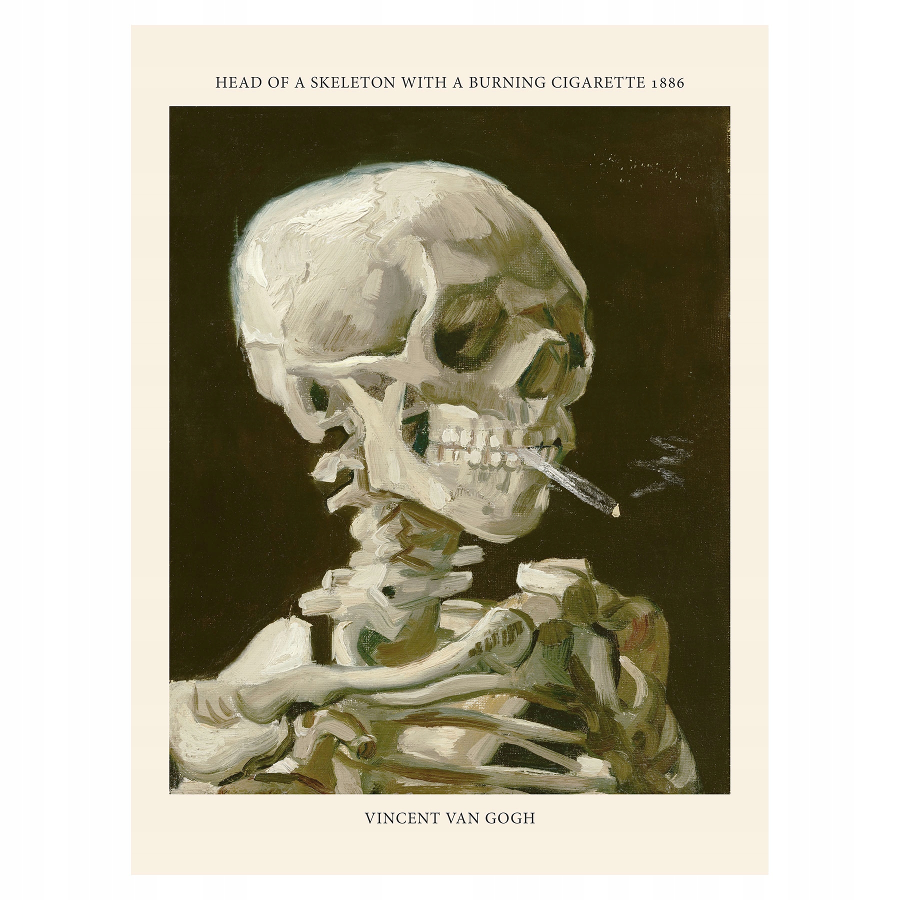 

Plakat 30x40 Van Gogh Head of a Skeleton with