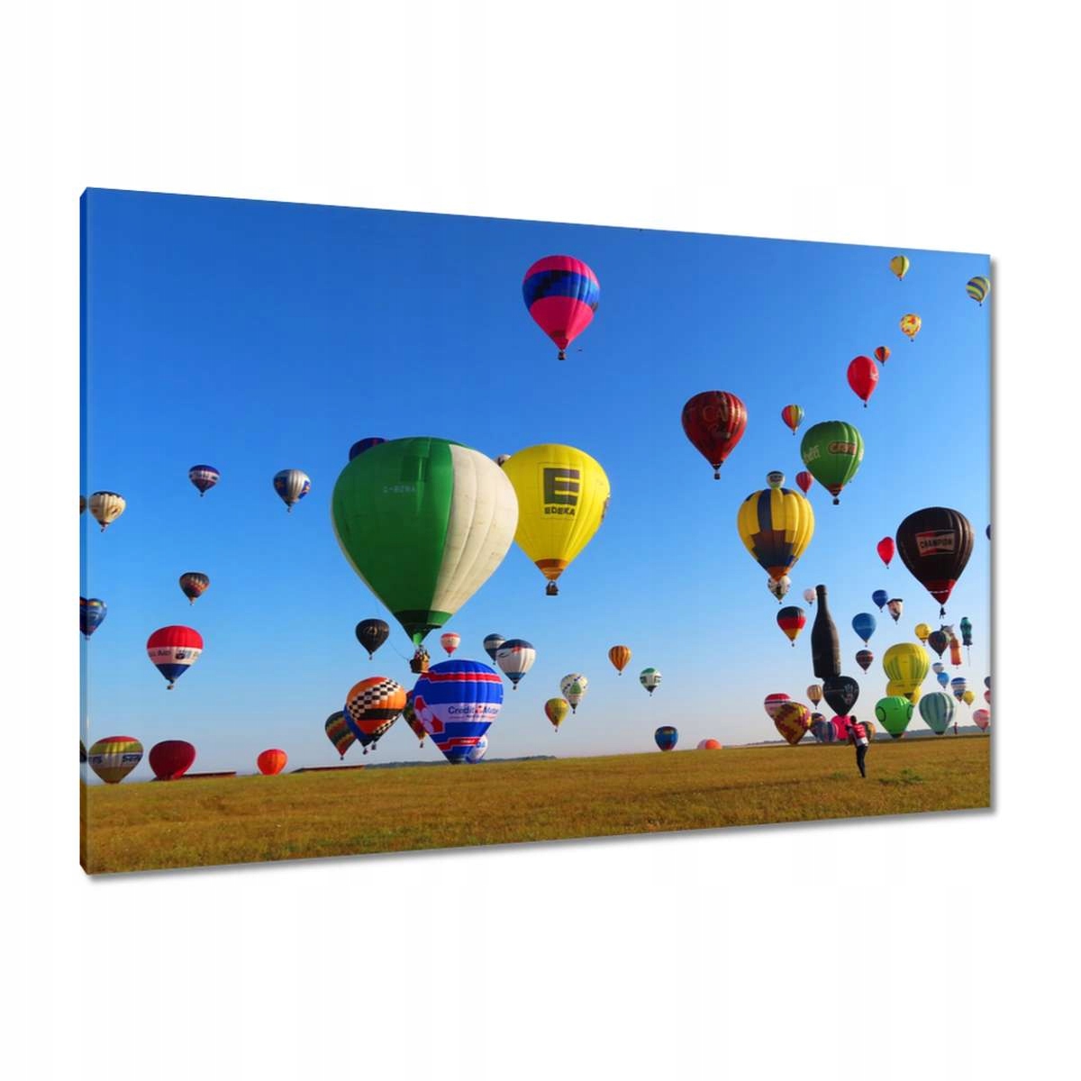 Obrazy 120x80 Balónový slet Balóny