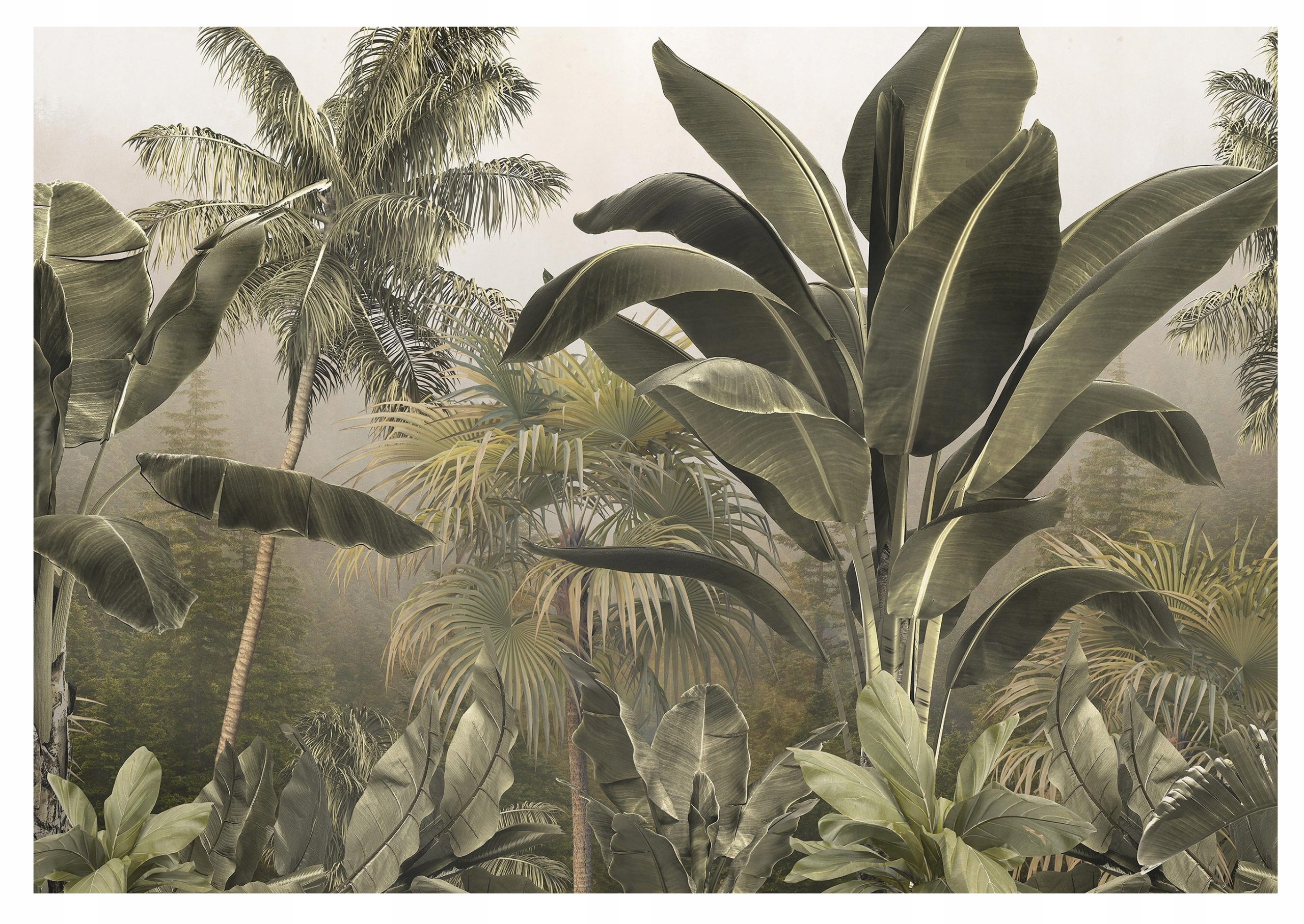 Fototapeta Tropický Les Zelené listy 416x254