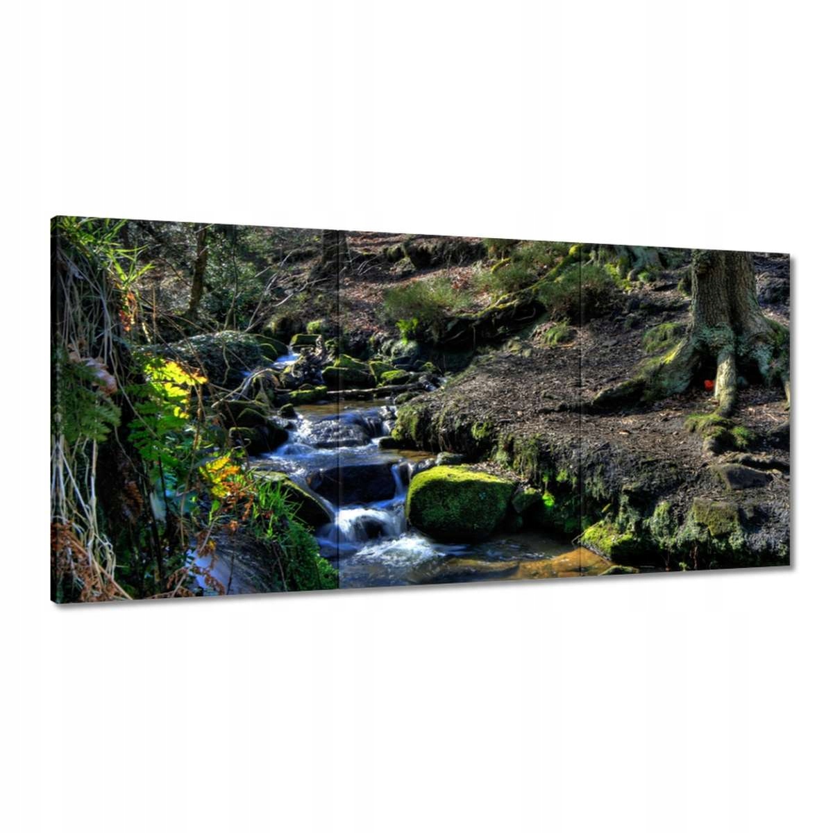 Obrazy 180x90 Horský potok