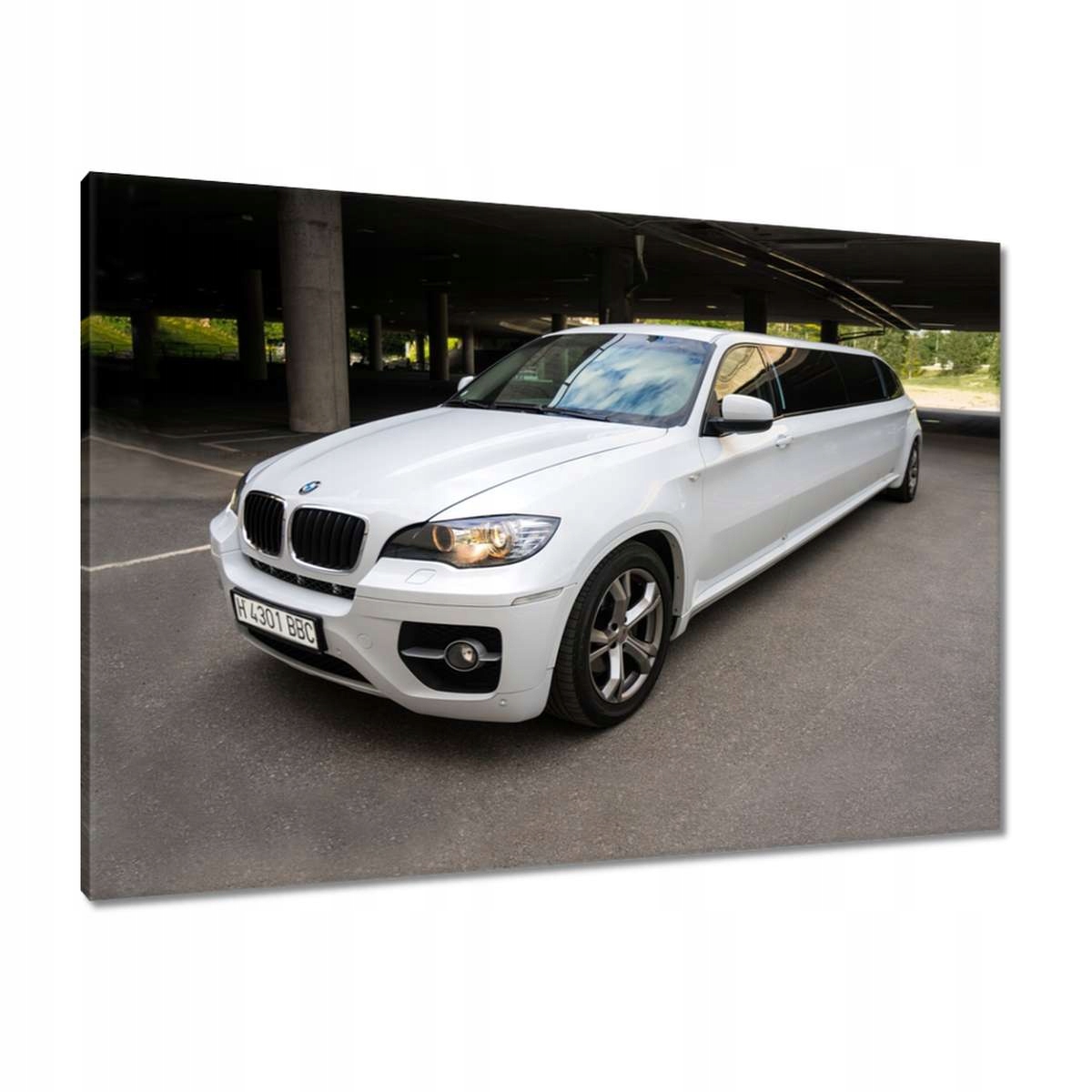 Obrazy 100x70 Bmw X6 Limuzína