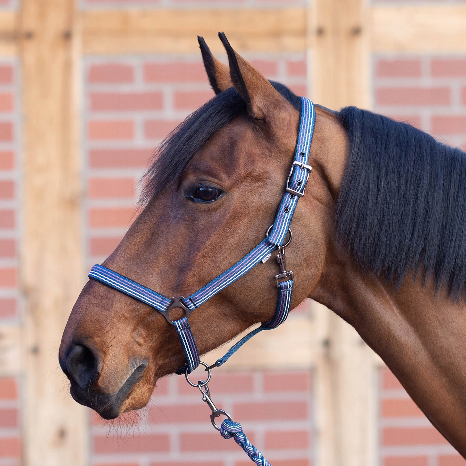 Kantar dla konia Busse Smooth Soft podwójnie wyściełany granatowy Pony