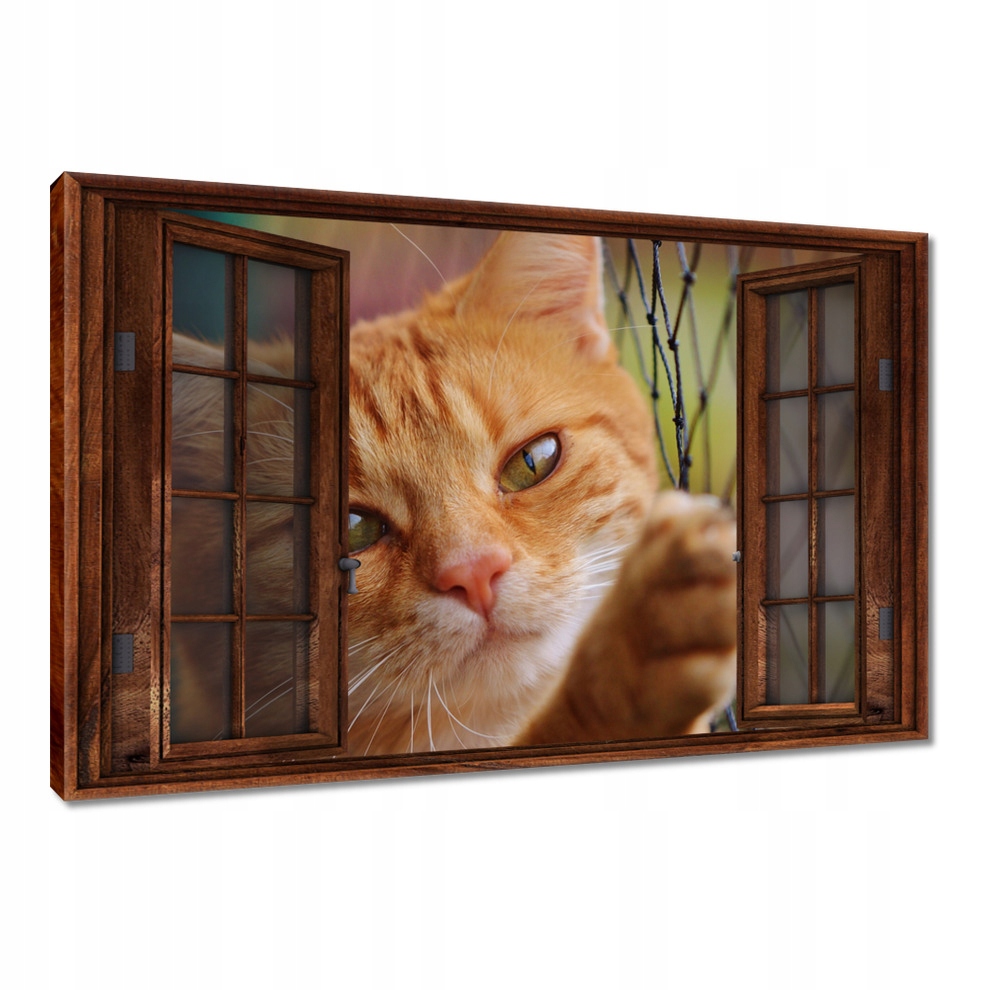 

Obrazy 120x80 Kot Kotek Kotki Koty