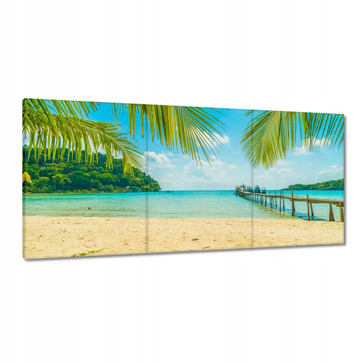 Obrazy 210x100 Tropická krajina