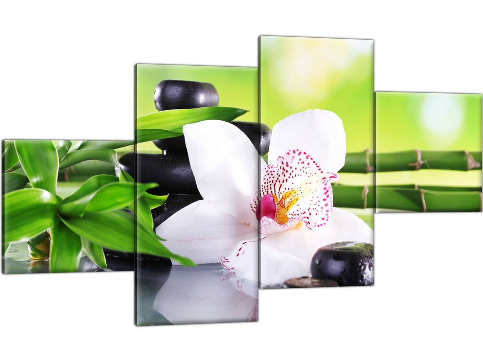 

Kamienie Spa Storczyk Kwiaty 160x90 Obraz Tryptyk