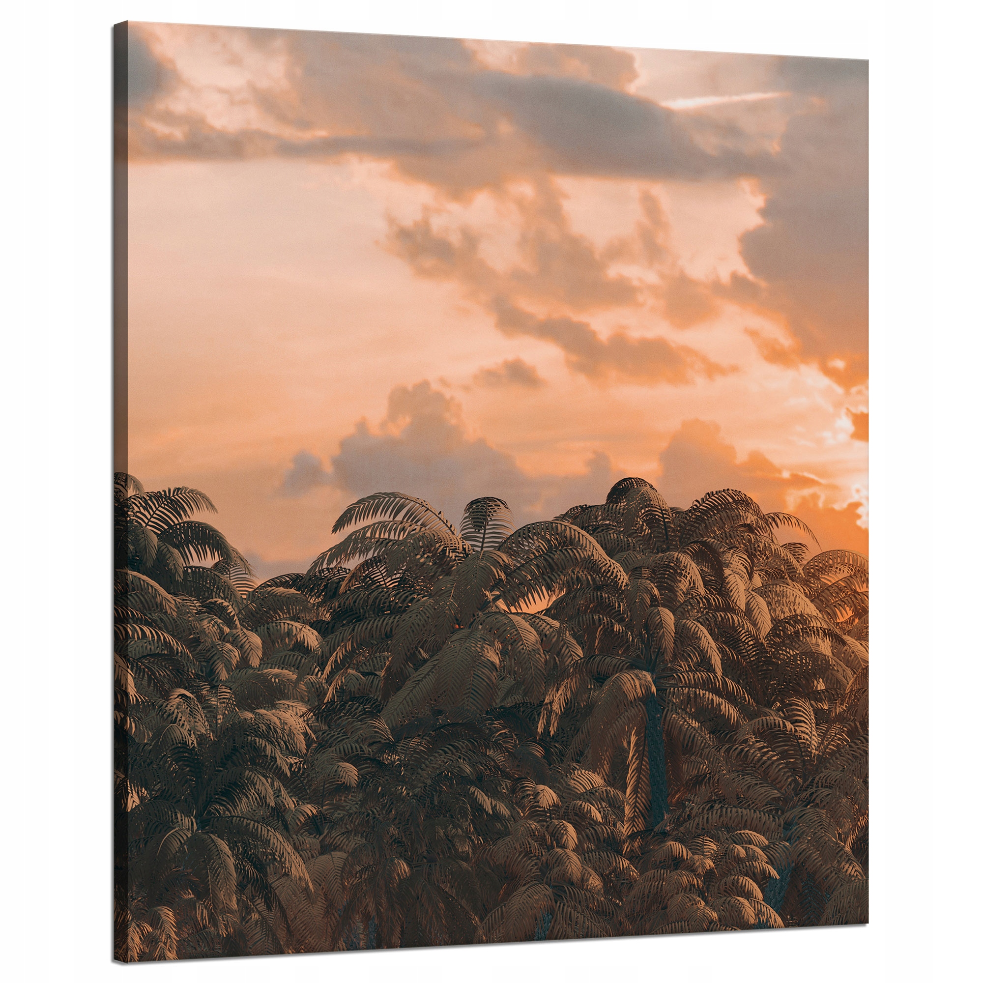 Obraz na plátně Stromy Západ Slunce Mraky Nebe 80x100 cm