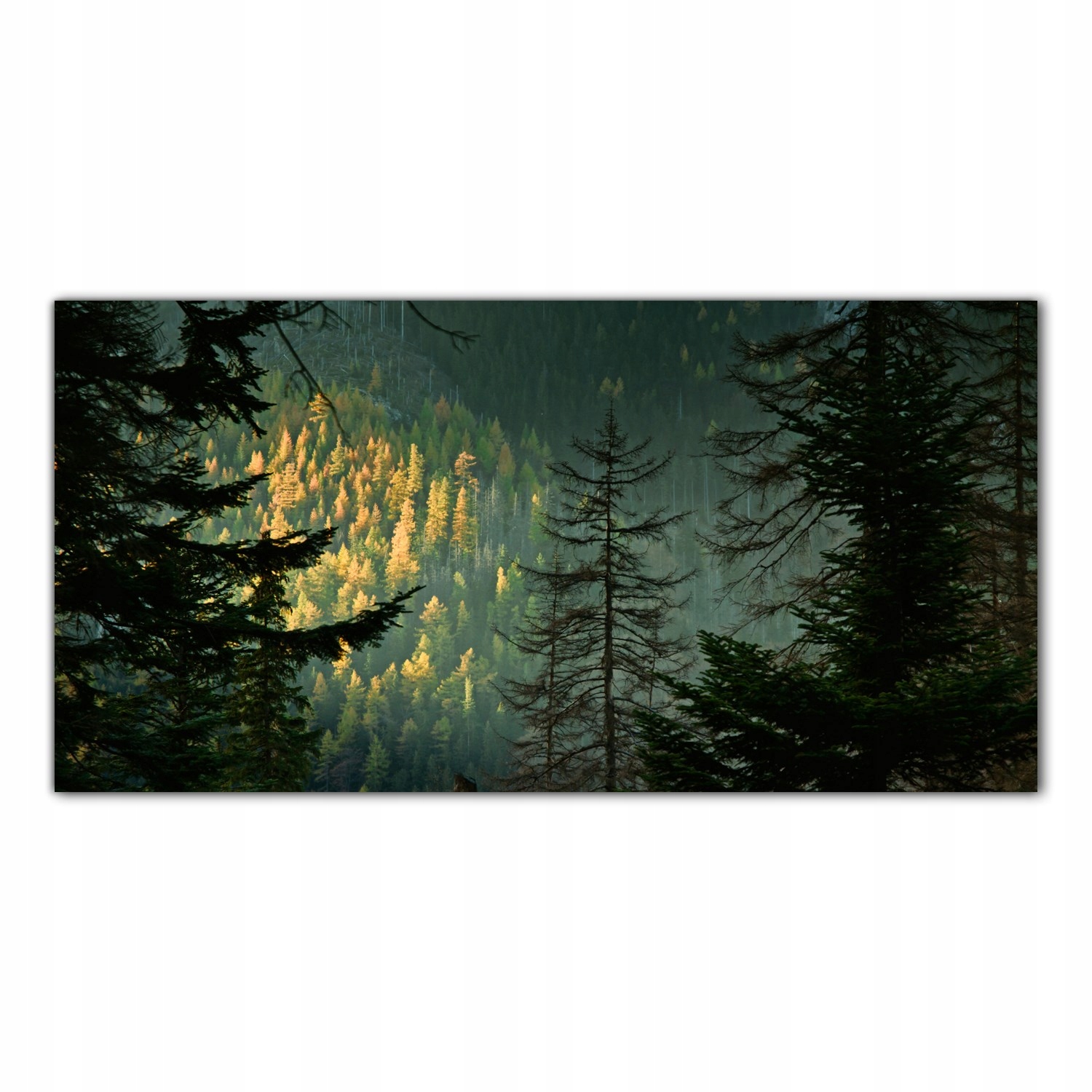 Hory Krajina Stromy 100x50 Tvrzené sklo panel