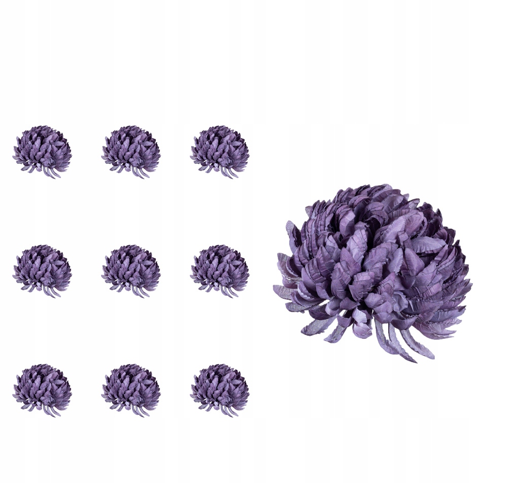 

Chryzantema ananas fioletowa 6 sztuk do wiązanek